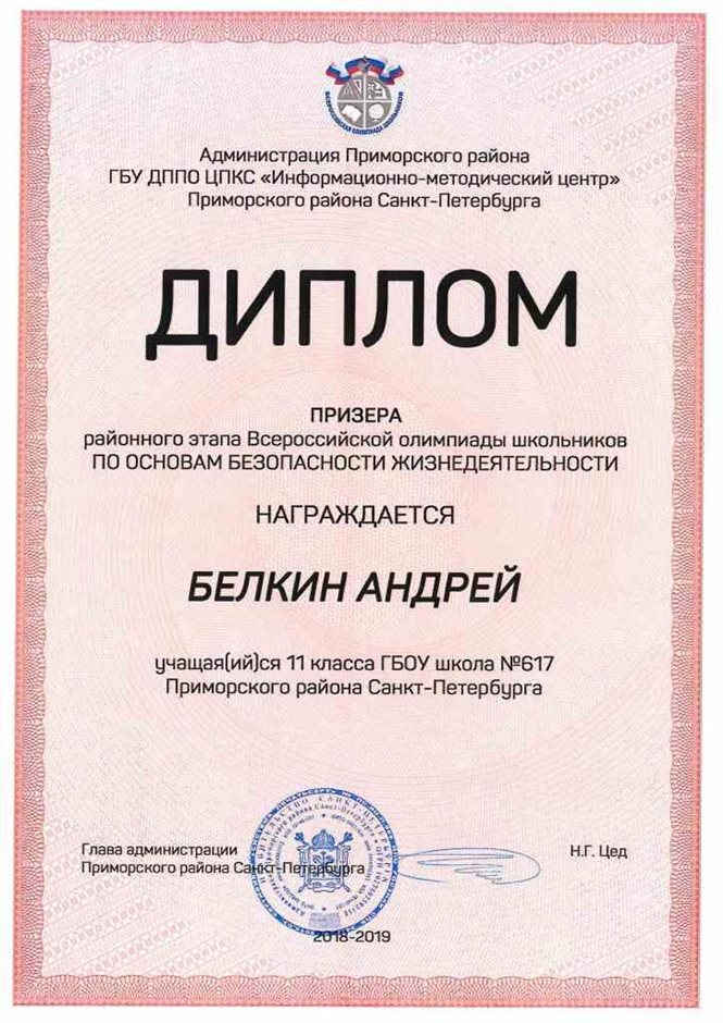 2018-2019 Белкин Андрей 11л (РО-ОБЖ)